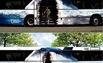 Автобусы а Амстердаме .....))))