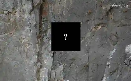 Как это он сделал? (2 фото)