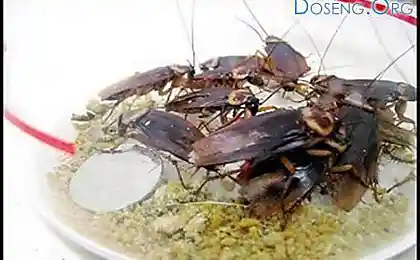 Секреты китайской омоложивающей медицины. 10 фото
