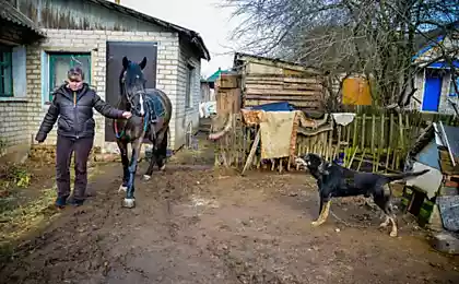 Жительнице Беларуси, занимающейся иппотерапией с детьми угрожает налог