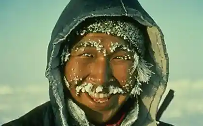 Айс? (10 фотографий)