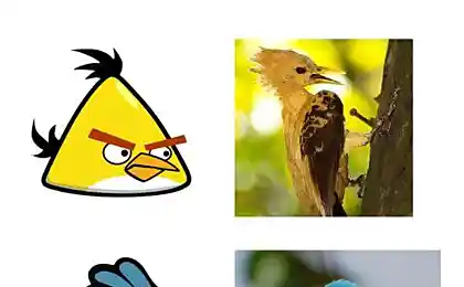 Angry Birds существуют