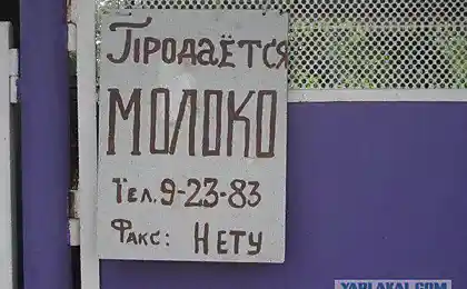 Молоко по факсу не купишь