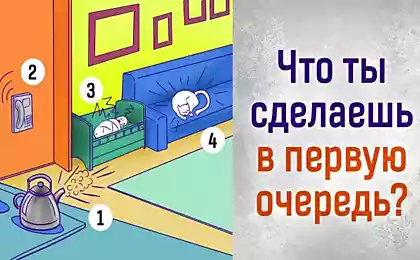 Ответь, что бы ты сделал в первую очередь, и узнай о себе кое-что новое, скрытые черты личности