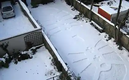След на снегу