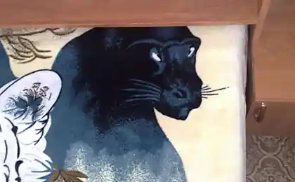 Кто это?!