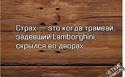 Это ужас