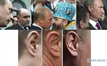 Кого из них мы выбрали?