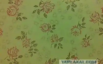 Як оновити кухню за 800 рублів
