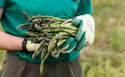 Невкусные продукты, которые все едят, чтобы не отстать от моды