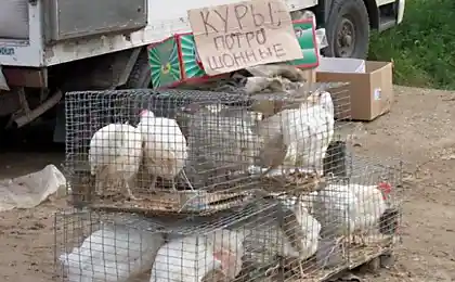 На трассе Владивосток - Хабаровск