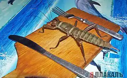 ом-бееее-ар