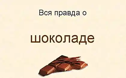 Вся правда о шоколаде