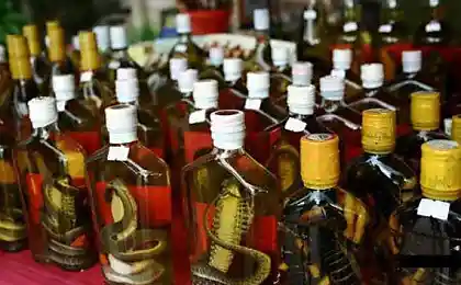 Элитные напитки