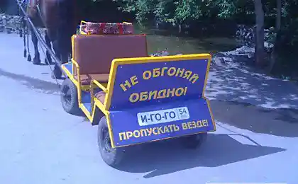 Перевезення в Новосибірську