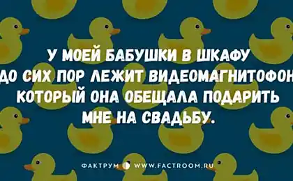 15 чудових жартів в одній лінії