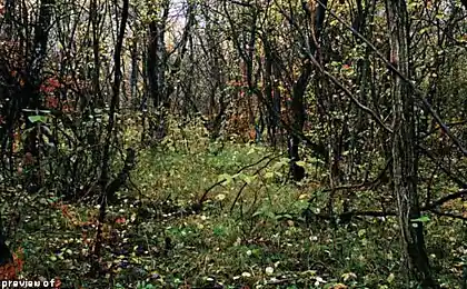 Він тихий. МІНУ
