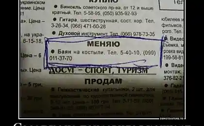Соседи не оценили