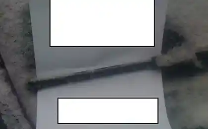 Вежливые пешеходы