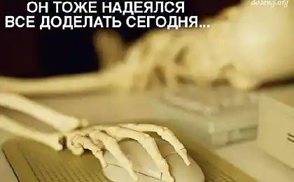 Лентяи и лентяйки, спящие и сонные