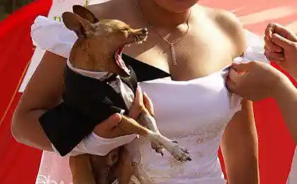 Я на тебе никогда не женюсь!