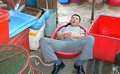 Спящие китайцы