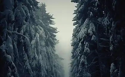 Чудові снігові пейзажі