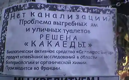 Какаеды решат вашу проблему!