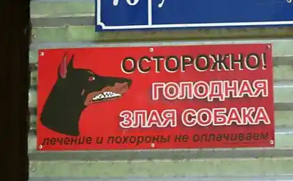 Маразмы и смешные объявления