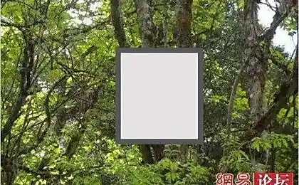 Похороны детей в Тибете (13 фотографий)