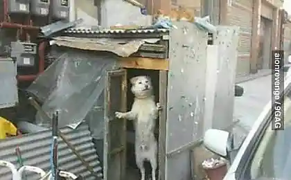 А вы к кому?
