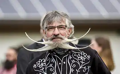 18 Розумних портретів учасників Чемпіонату світу 2015 року