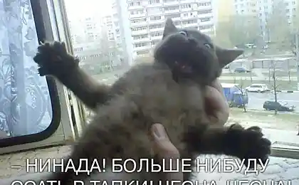 Я больше не буду!