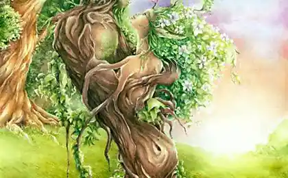Fantasy delfee (Delphine Gache)