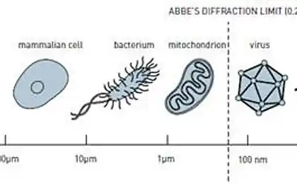 El premio nobel de química dalí por флуоресцентную microscopia de alta resolución