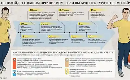 Что произойдет с вашим организмом,