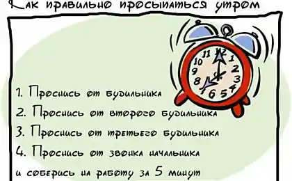 Вредные советы обо всем на свете