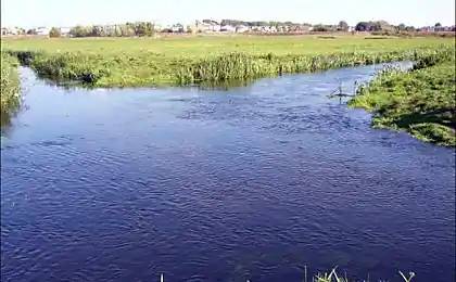 Перехрестя річок Великої та Нельба