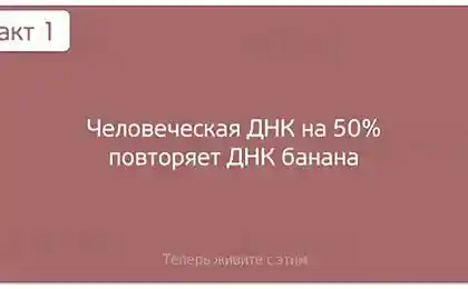 Жуткие факты
