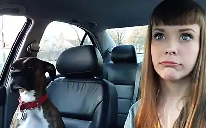 Хто таке?