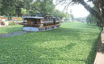Водна подорож: плаваючі будинки в Кералі (Індія)