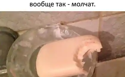 Голодные друзья