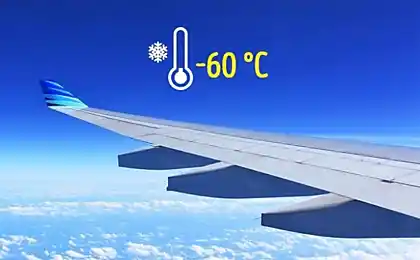 7 tricks to a perfect flight, which are not known to most passengers