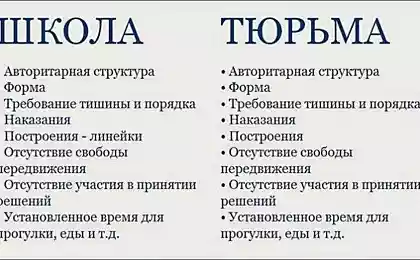 ШКОЛА РАВНО ТЮРЬМА: ПОЧЕМУ МИР БОРЕТСЯ ЗА СВОБОДУ ОБУЧЕНИЯ