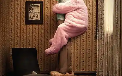 Розовый толстяк Pink Batts поддержит уют в вашем доме