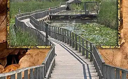 Фотографії, які виходять за межі