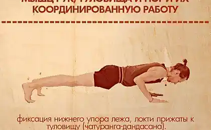 10 вправ, які покажуть, які м'язи потребують додаткового тренування