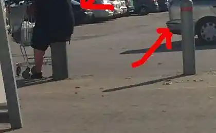 Сісти вниз на пень
