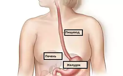 Симптомы основных заболеваний пищевода