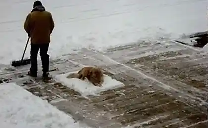 Добрый дворник....))))